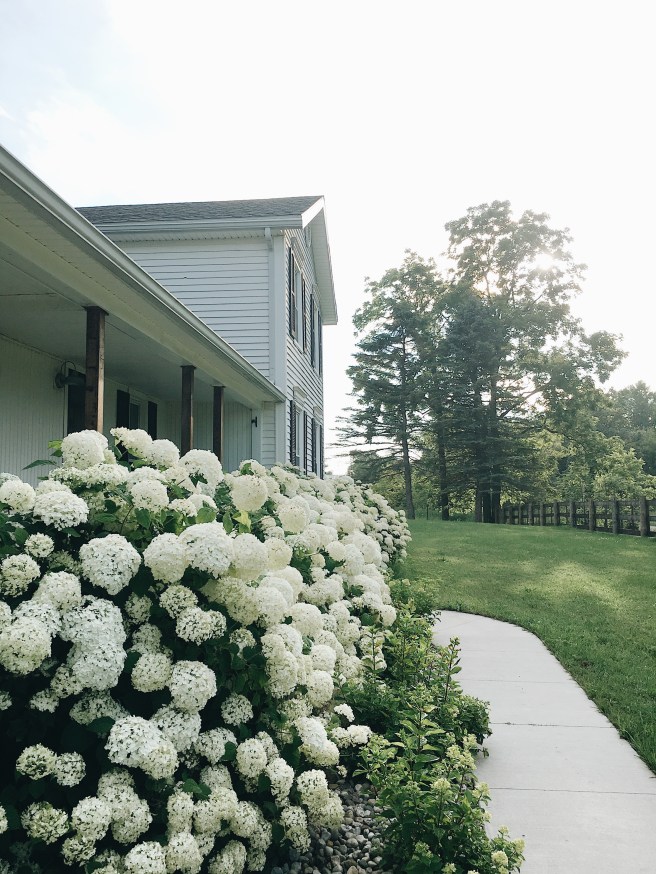 Processed with VSCO with a6 preset