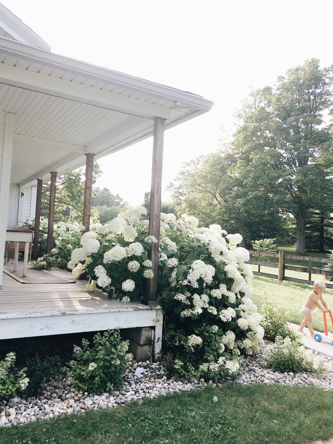 Processed with VSCO with a6 preset