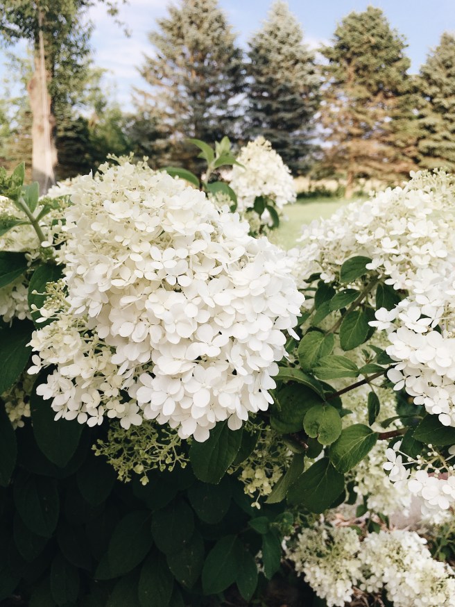 Processed with VSCO with a6 preset