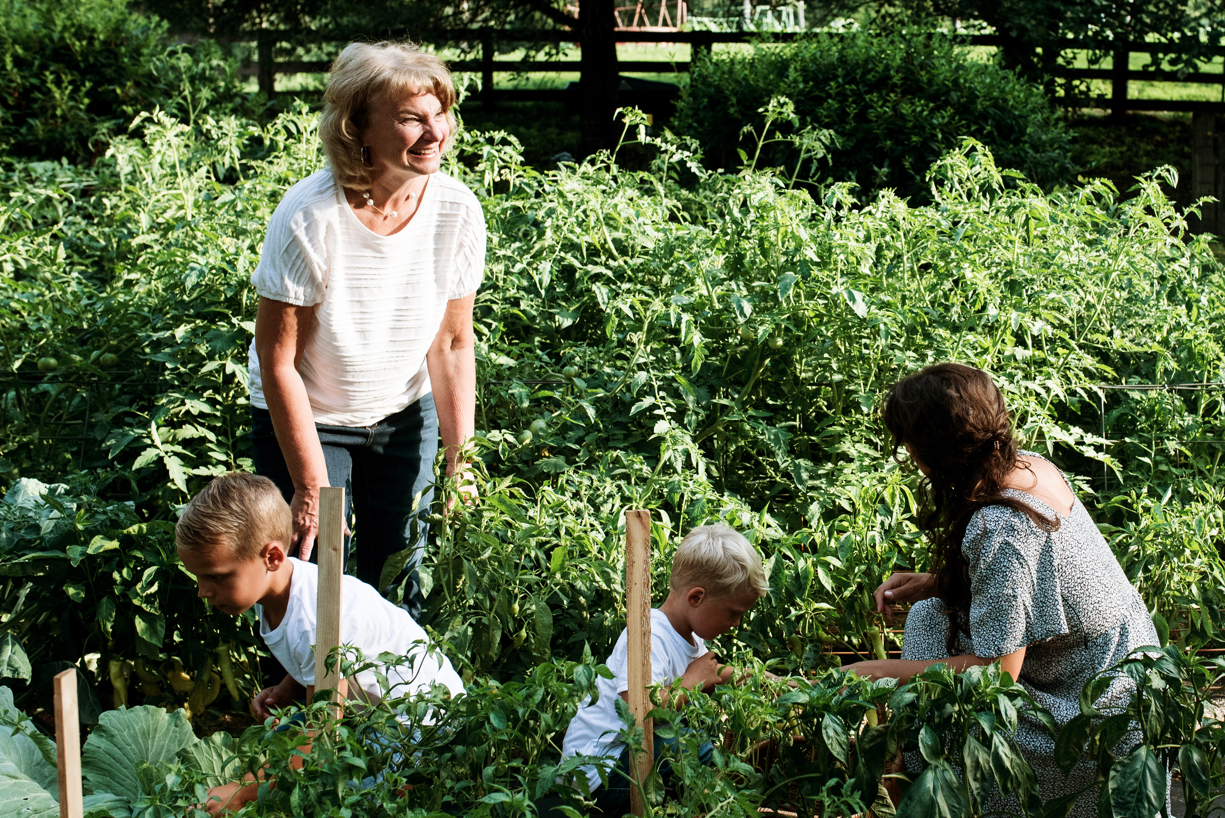 The Ford Family // Summer 2020