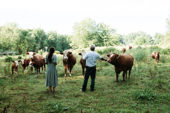 The Ford Family // Summer 2020