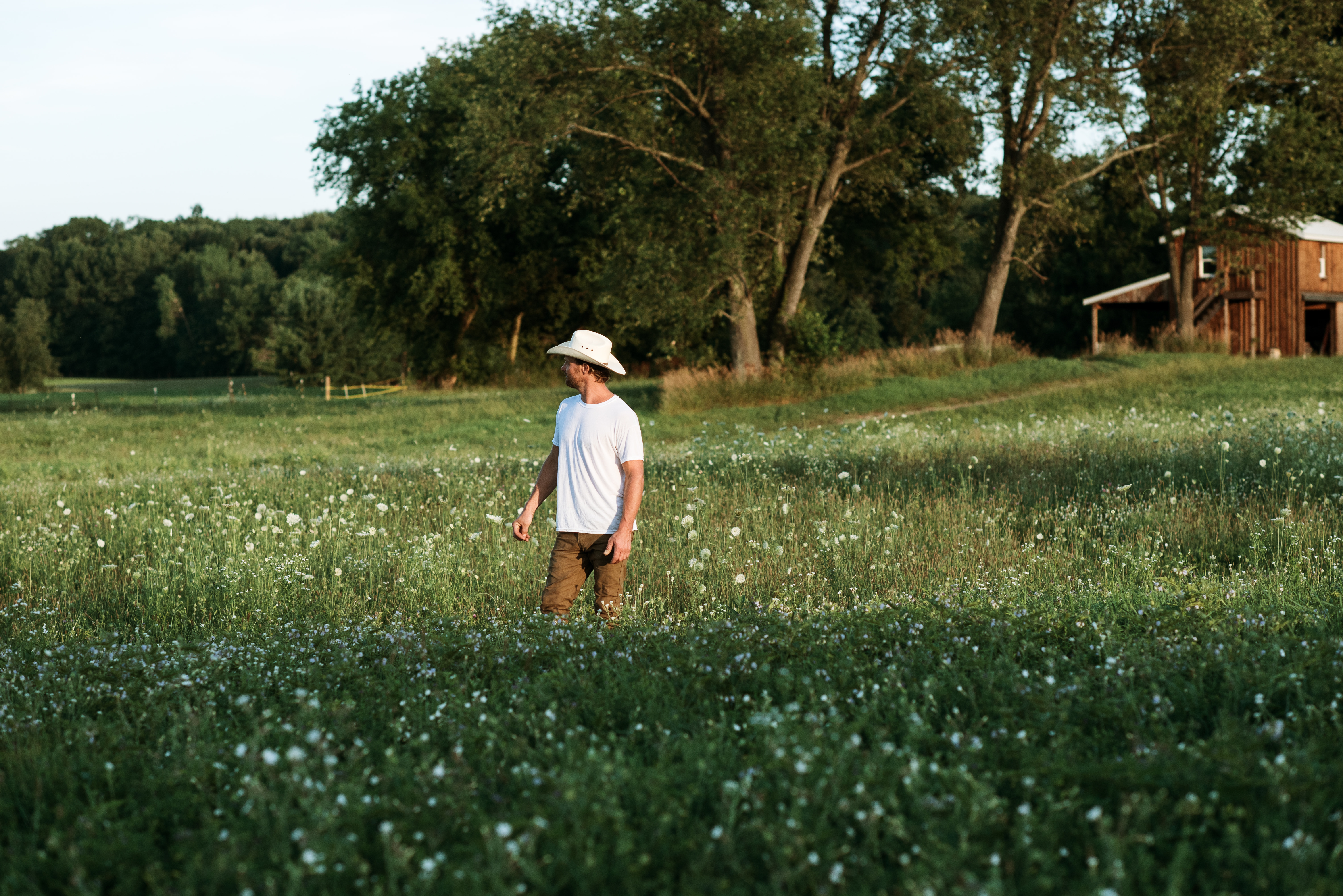 The Ford Family // Summer 2020