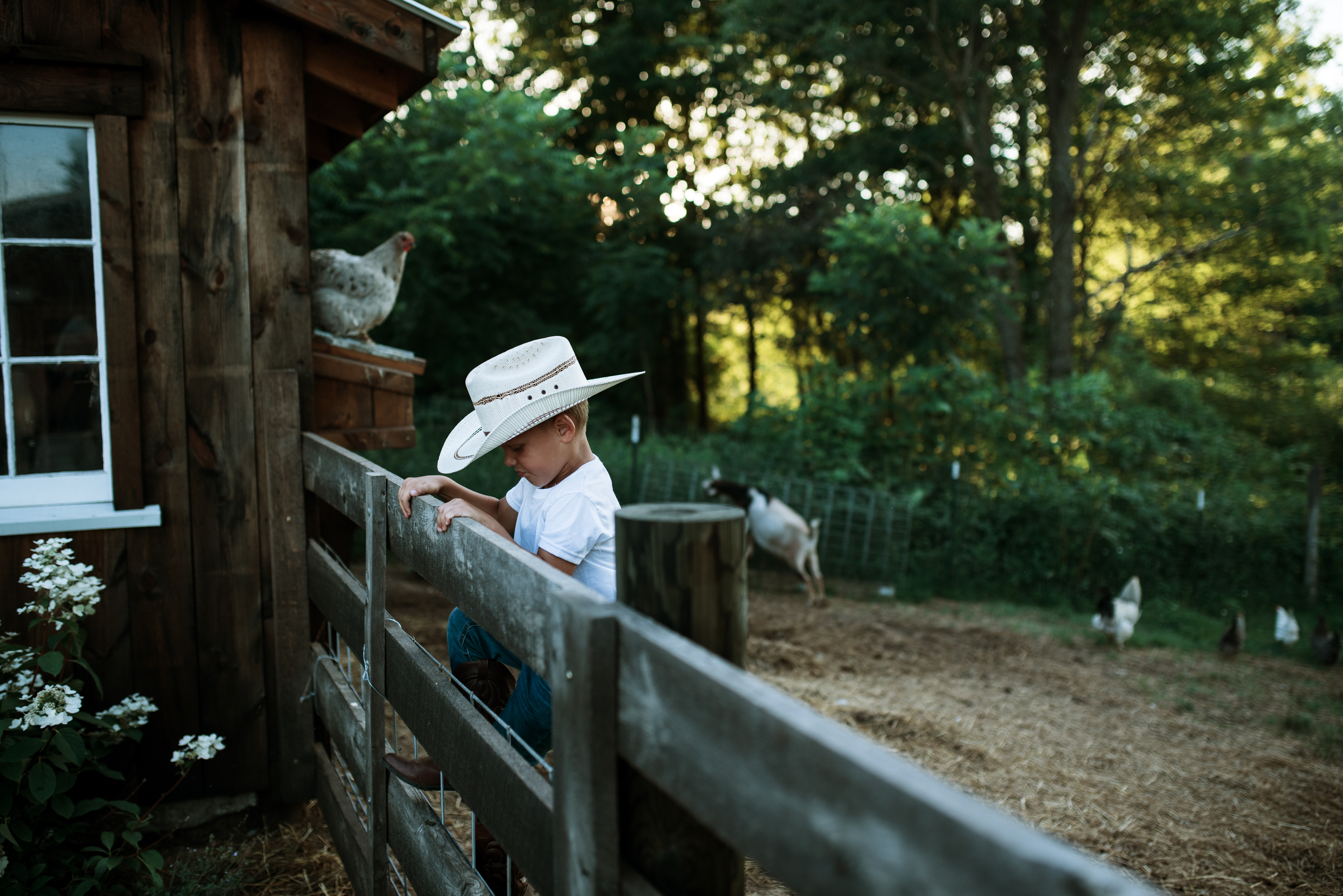 The Ford Family // Summer 2020