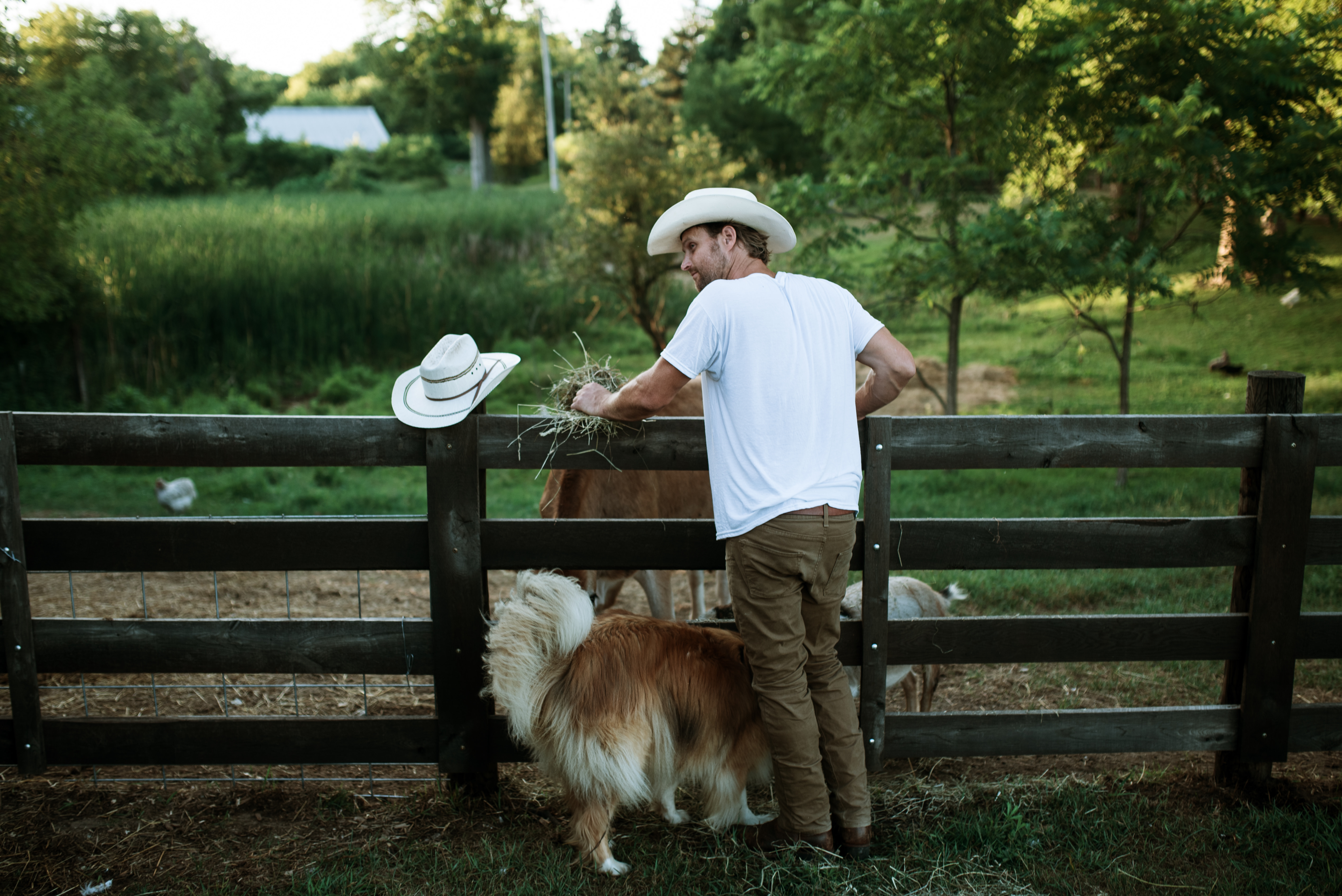 The Ford Family // Summer 2020
