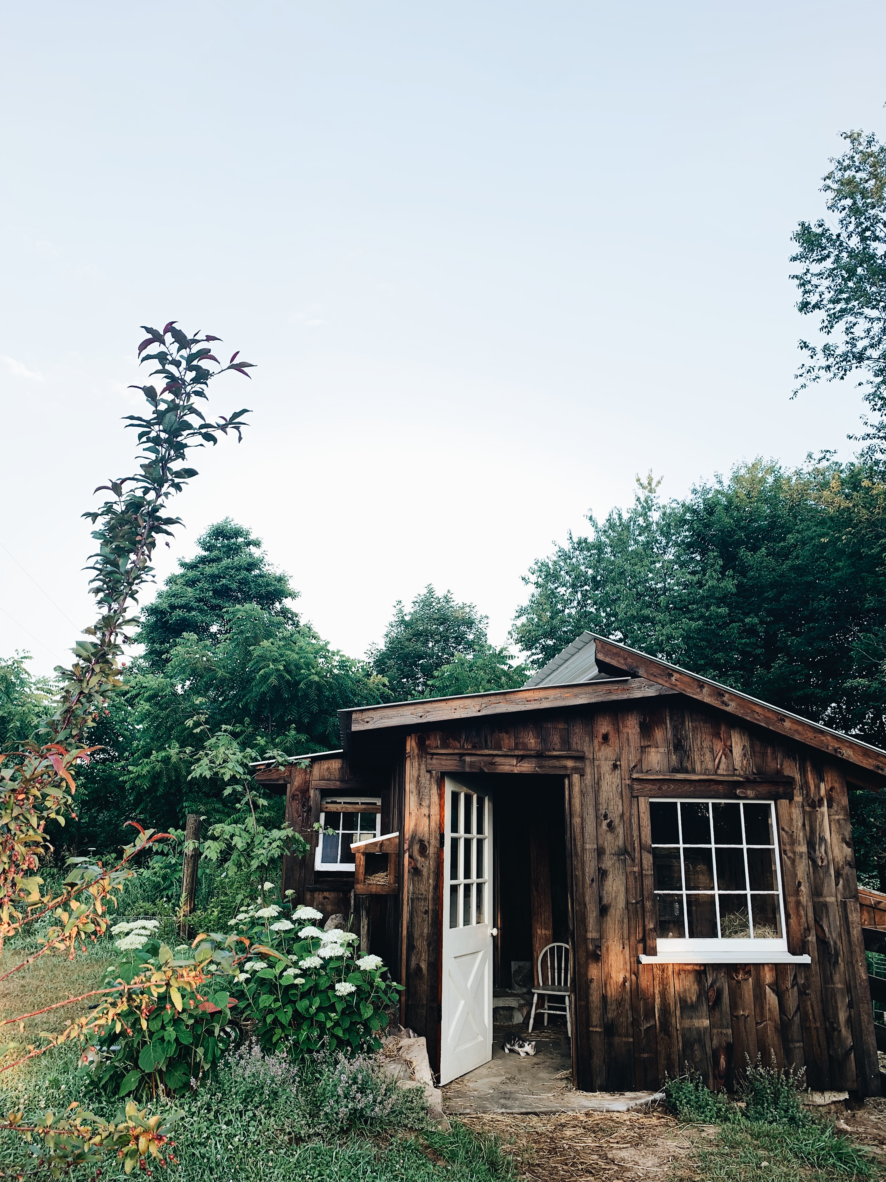 Processed with VSCO with a6 preset